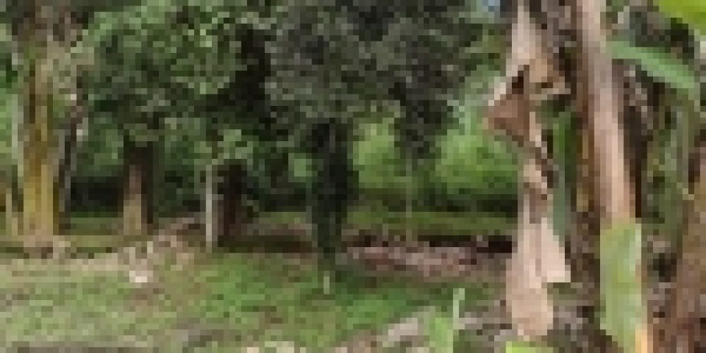 WhatsApp Image 2025-04-21 at 11.07.10 (1)