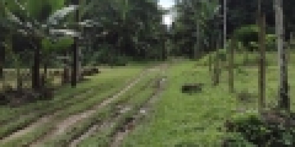 WhatsApp Image 2025-04-21 at 11.07.10