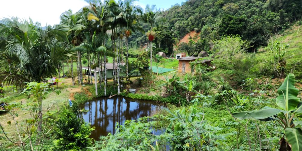 WhatsApp Image 2025-04-21 at 12.52.13 (1)