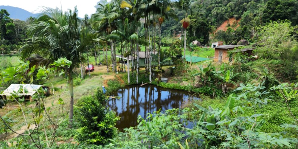 WhatsApp Image 2025-04-21 at 12.52.13 (3)