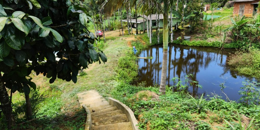 WhatsApp Image 2025-04-21 at 12.52.15