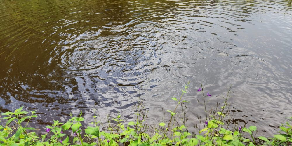 WhatsApp Image 2025-04-21 at 12.52.16 (2)