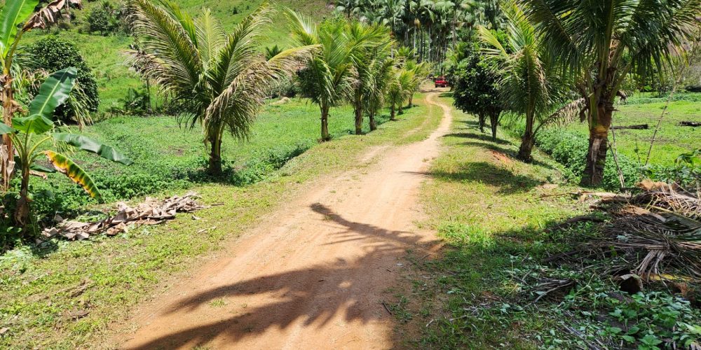 WhatsApp Image 2025-04-21 at 12.52.16