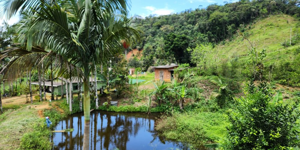 WhatsApp Image 2025-04-21 at 12.52.17 (2)