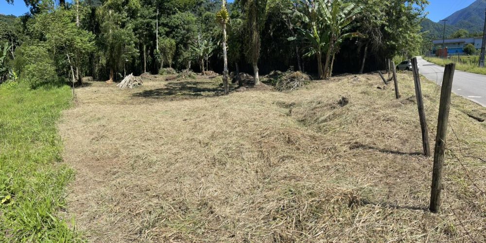 WhatsApp Image 2025-05-04 at 20.40.18