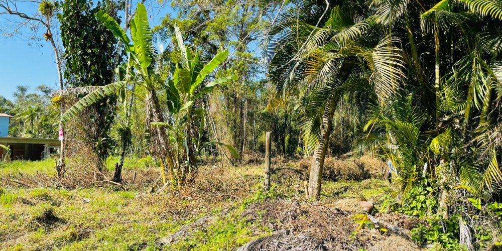 WhatsApp Image 2025-05-04 at 20.40.19