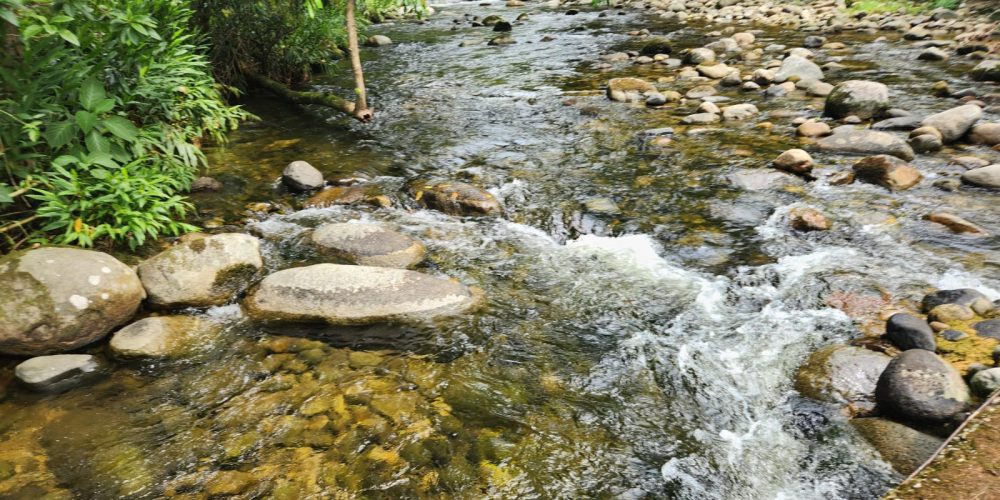 WhatsApp Image 2025-05-06 at 11.00.31