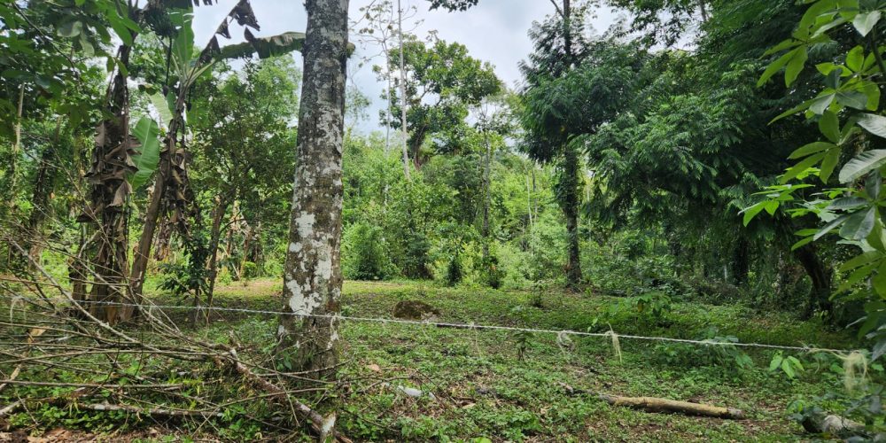 WhatsApp Image 2025-05-06 at 11.00.32 (1)