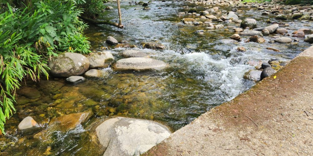 WhatsApp Image 2025-05-06 at 11.00.32 (2)