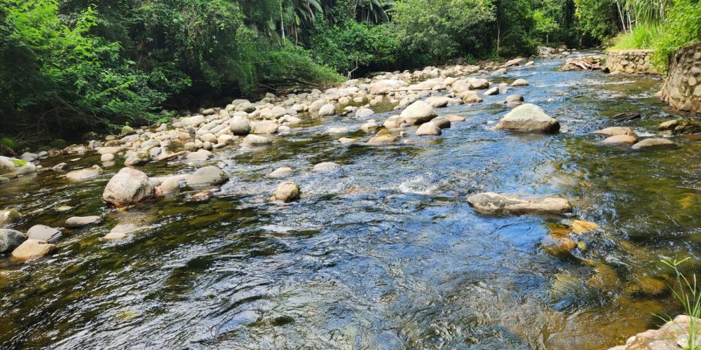 WhatsApp Image 2025-05-06 at 11.00.32