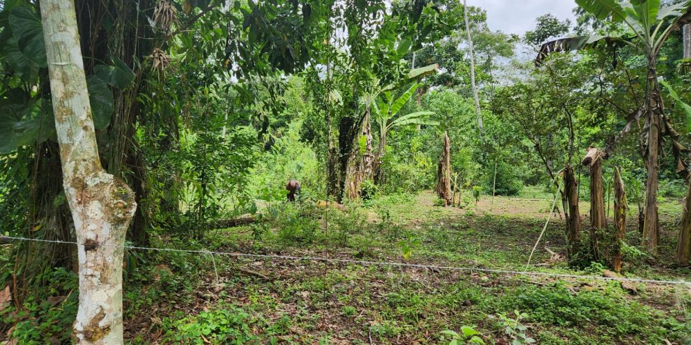 WhatsApp Image 2025-05-06 at 11.00.33 (1)