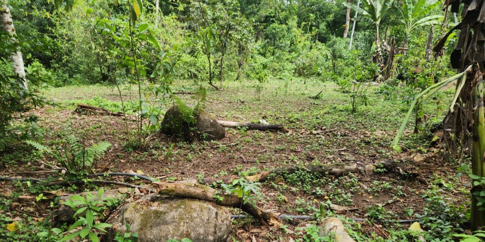 WhatsApp Image 2025-05-06 at 11.00.33 (2)