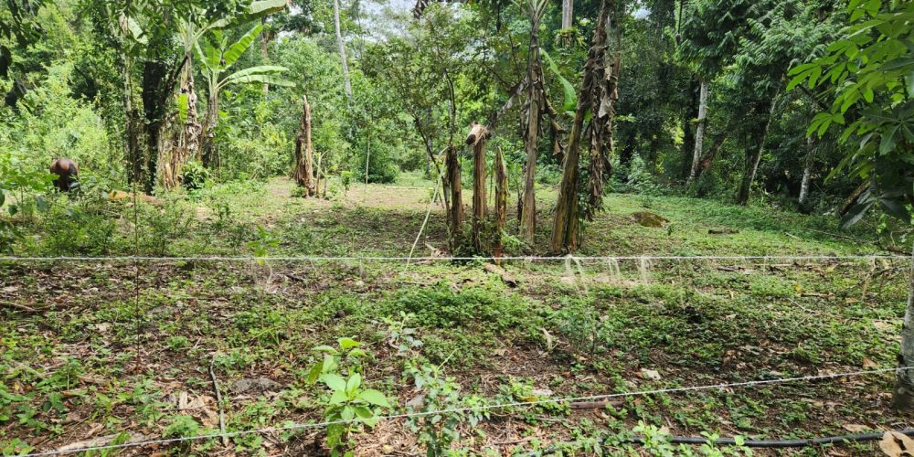 WhatsApp Image 2025-05-06 at 11.00.33 (3)