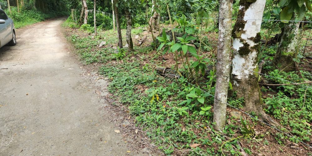 WhatsApp Image 2025-05-06 at 11.00.33 (4)