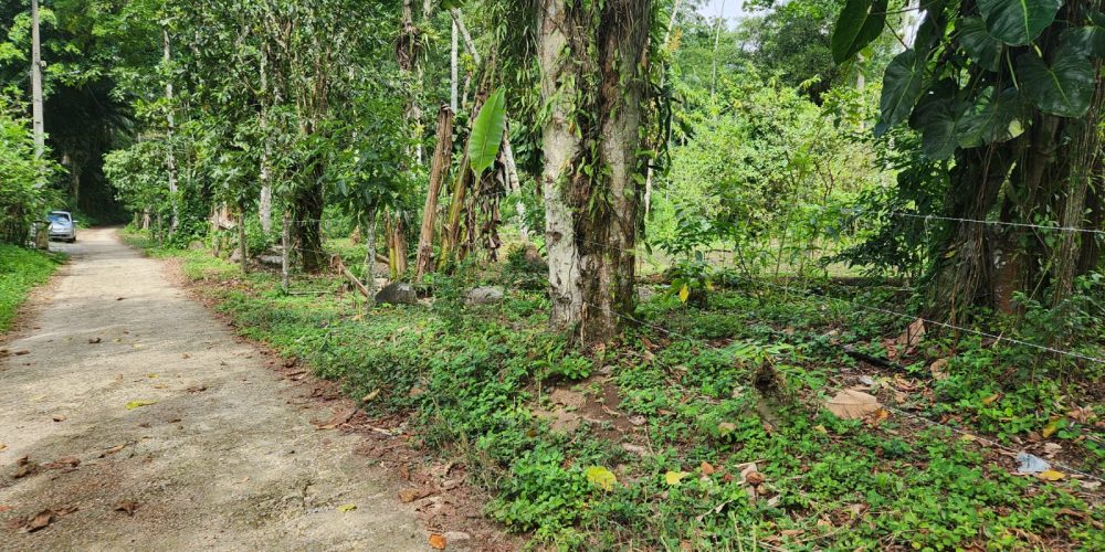 WhatsApp Image 2025-05-06 at 11.00.33