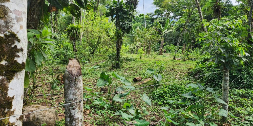 WhatsApp Image 2025-05-06 at 11.00.34 (3)