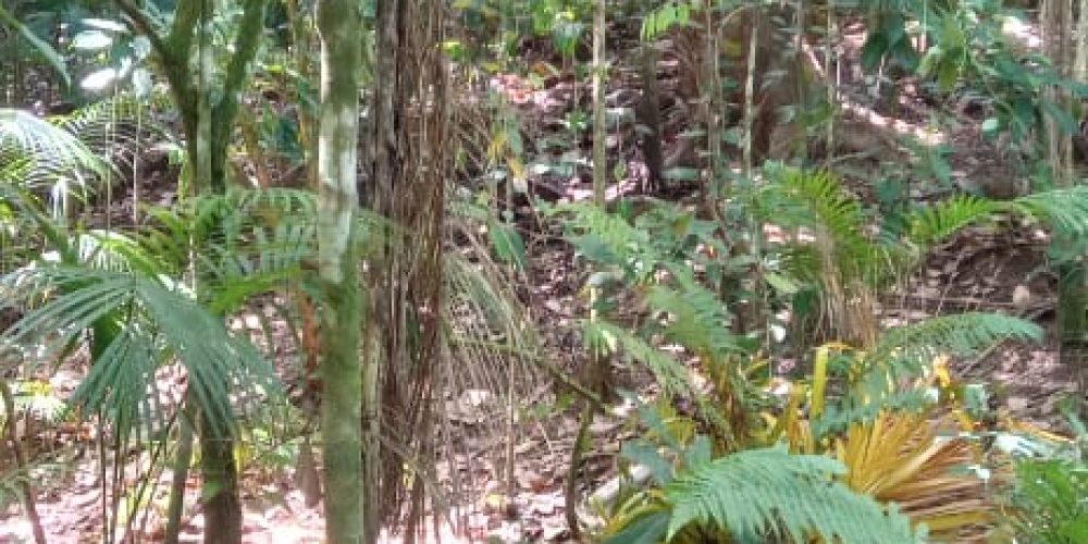 WhatsApp Image 2025-05-11 at 23.10.16 (1)