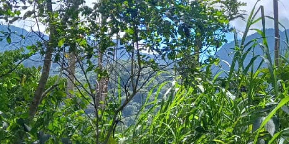 WhatsApp Image 2025-05-11 at 23.10.16