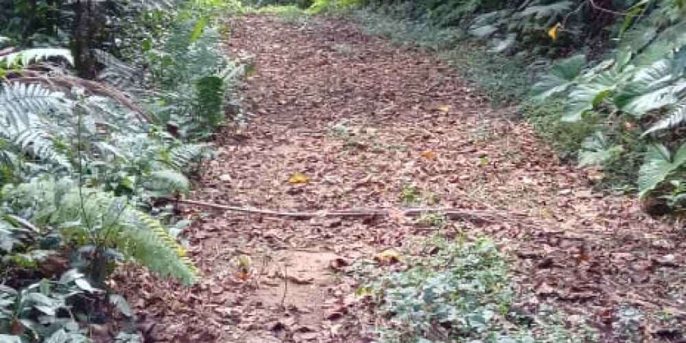 WhatsApp Image 2025-05-11 at 23.10.17 (1)