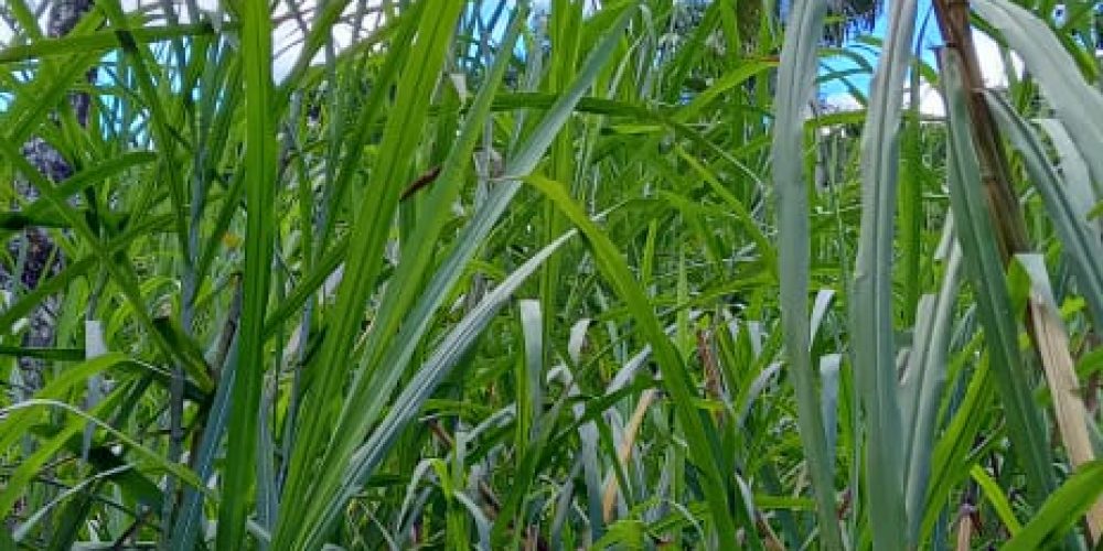 WhatsApp Image 2025-05-11 at 23.10.17 (4)