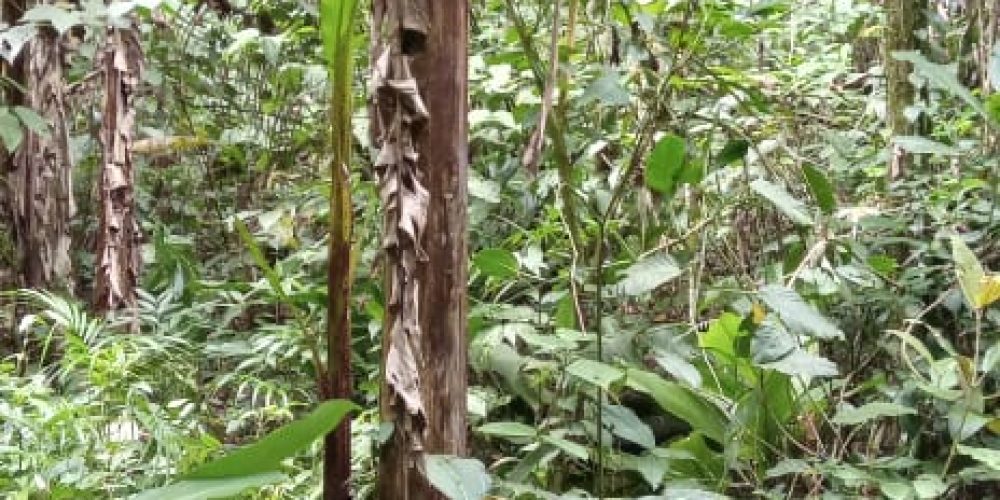 WhatsApp Image 2025-05-11 at 23.10.17