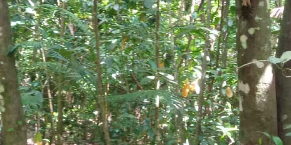 WhatsApp Image 2025-05-11 at 23.10.18 (1)