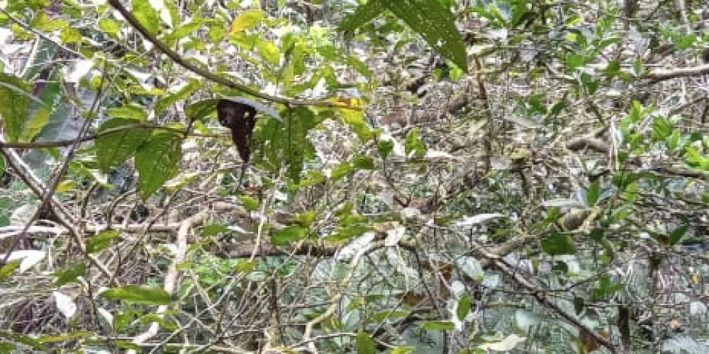 WhatsApp Image 2025-05-11 at 23.10.18 (2)