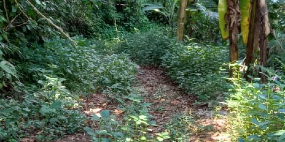 WhatsApp Image 2025-05-11 at 23.10.18 (3)