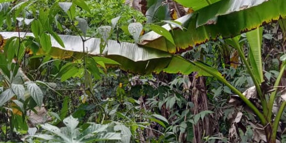 WhatsApp Image 2025-05-11 at 23.10.18 (4)