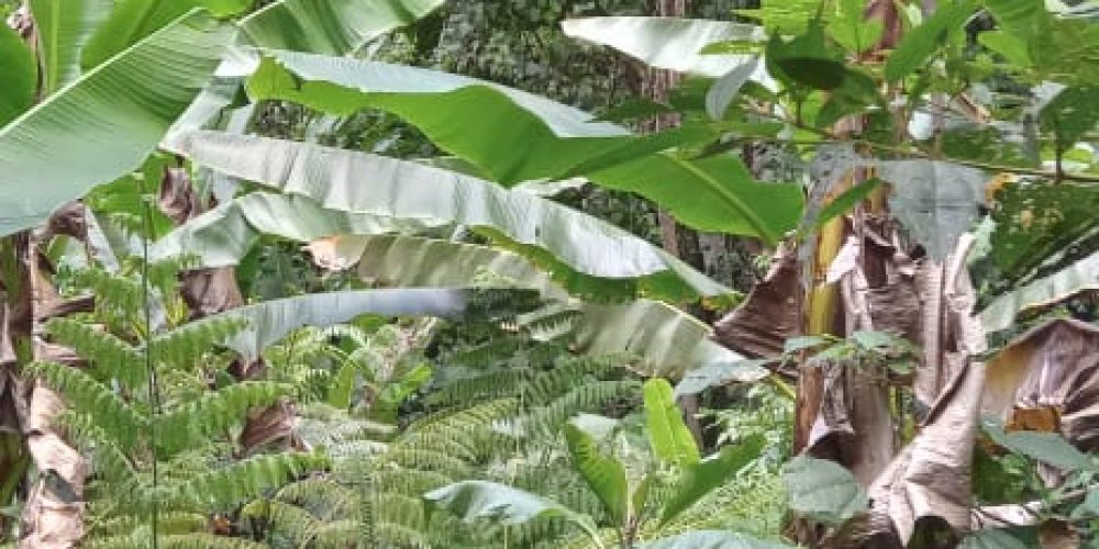 WhatsApp Image 2025-05-11 at 23.10.18