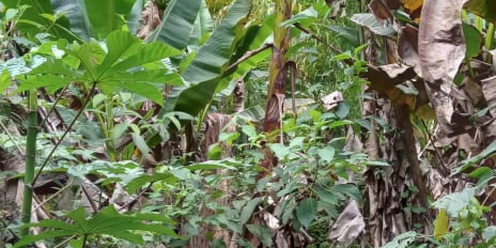 WhatsApp Image 2025-05-11 at 23.10.19 (1)