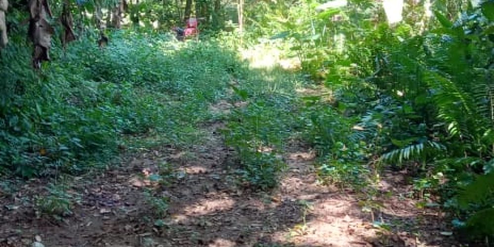 WhatsApp Image 2025-05-11 at 23.10.19 (2)