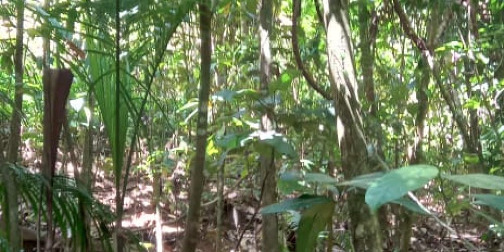 WhatsApp Image 2025-05-11 at 23.10.19 (3)