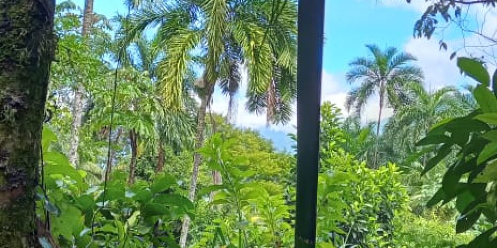 WhatsApp Image 2025-05-11 at 23.10.19 (4)