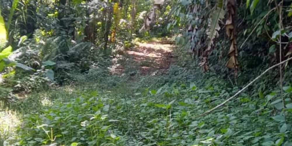 WhatsApp Image 2025-05-11 at 23.10.19 (5)