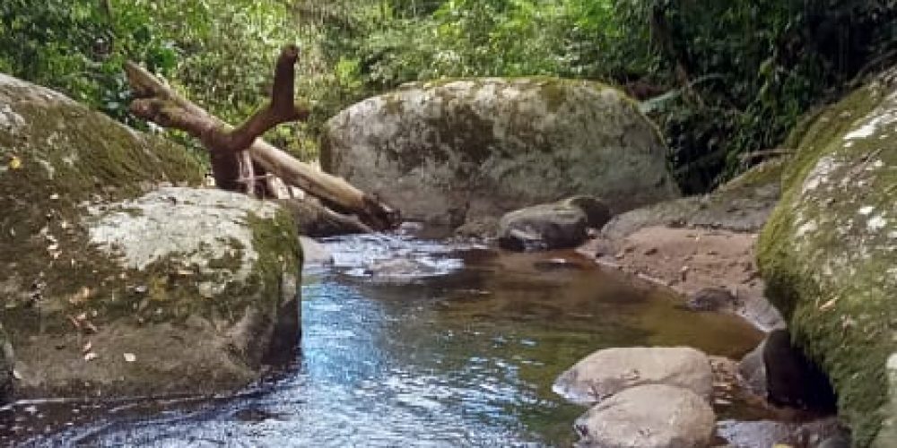 WhatsApp Image 2025-05-11 at 23.10.19