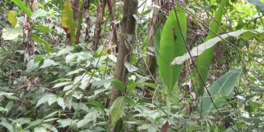 WhatsApp Image 2025-05-11 at 23.10.20 (1)