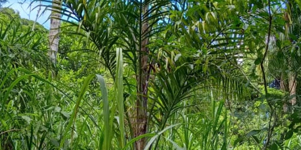 WhatsApp Image 2025-05-11 at 23.10.20 (2)