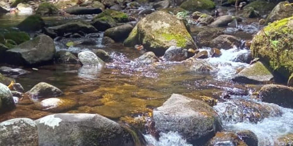 WhatsApp Image 2025-05-11 at 23.10.20 (4)