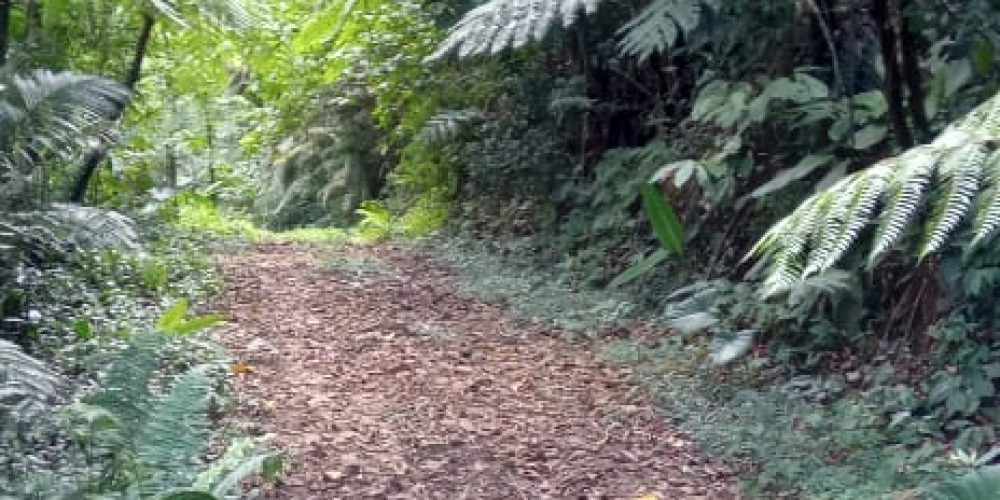 WhatsApp Image 2025-05-11 at 23.10.20