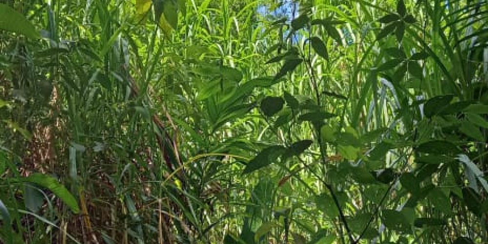 WhatsApp Image 2025-05-11 at 23.10.21 (2)