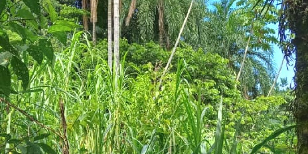 WhatsApp Image 2025-05-11 at 23.10.21 (3)