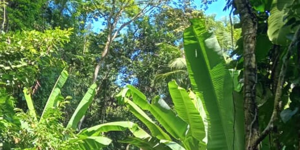 WhatsApp Image 2025-05-11 at 23.10.21 (4)