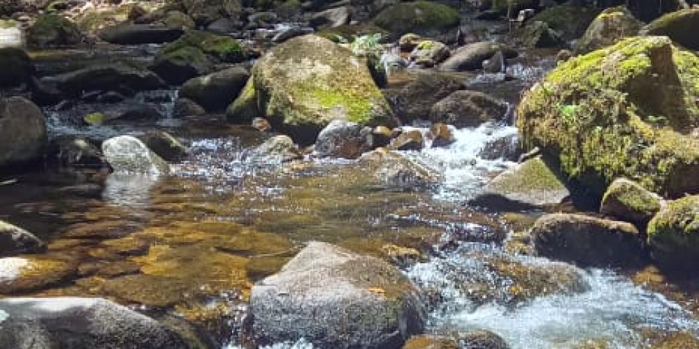 WhatsApp Image 2025-05-11 at 23.10.21