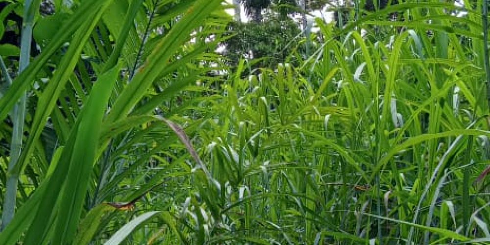 WhatsApp Image 2025-05-11 at 23.10.22 (1)