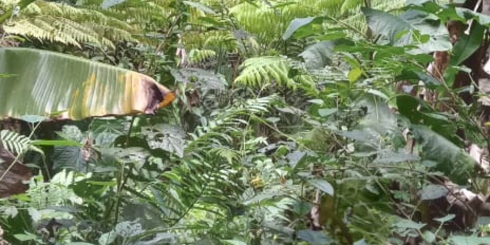 WhatsApp Image 2025-05-11 at 23.10.22