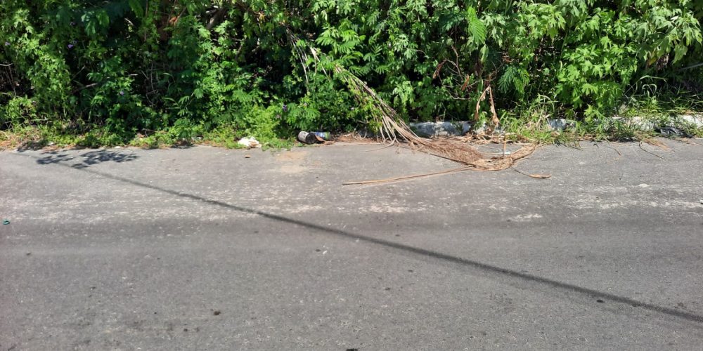 WhatsApp Image 2025-05-13 at 23.13.07