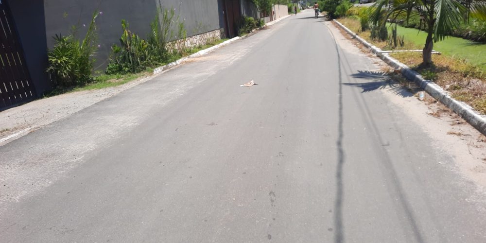 WhatsApp Image 2025-05-13 at 23.13.08 (1)