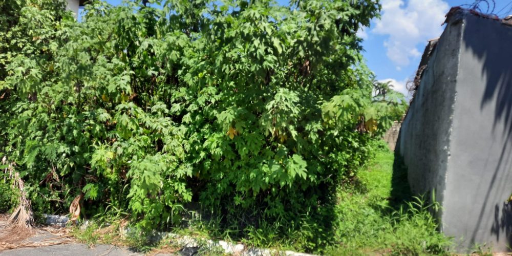 WhatsApp Image 2025-05-13 at 23.13.08 (2)