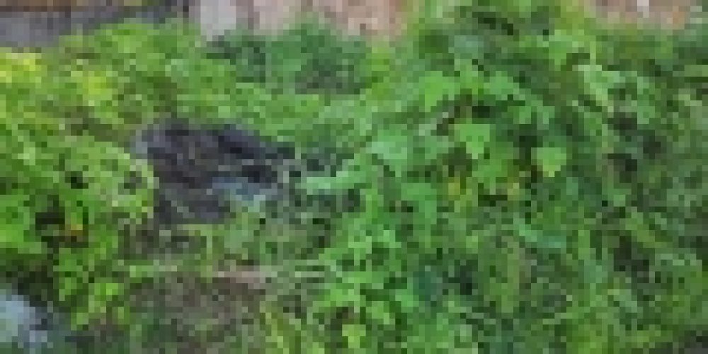 WhatsApp Image 2025-05-13 at 23.13.08 (4)